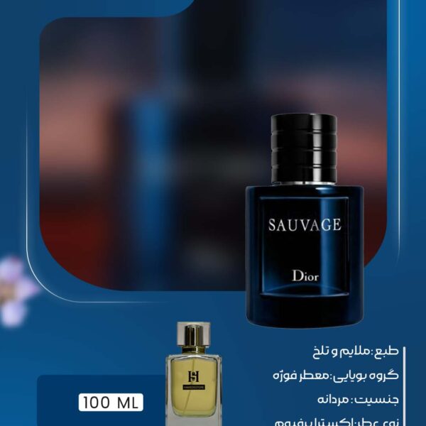 خرید عطر ساواج دیور مردانه اصل | ماندگاری بالا در حامد استور
