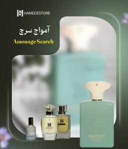 خرید عطر آمواج سرچ (Amouage Search) زنانه و مردانه | حامد استور
