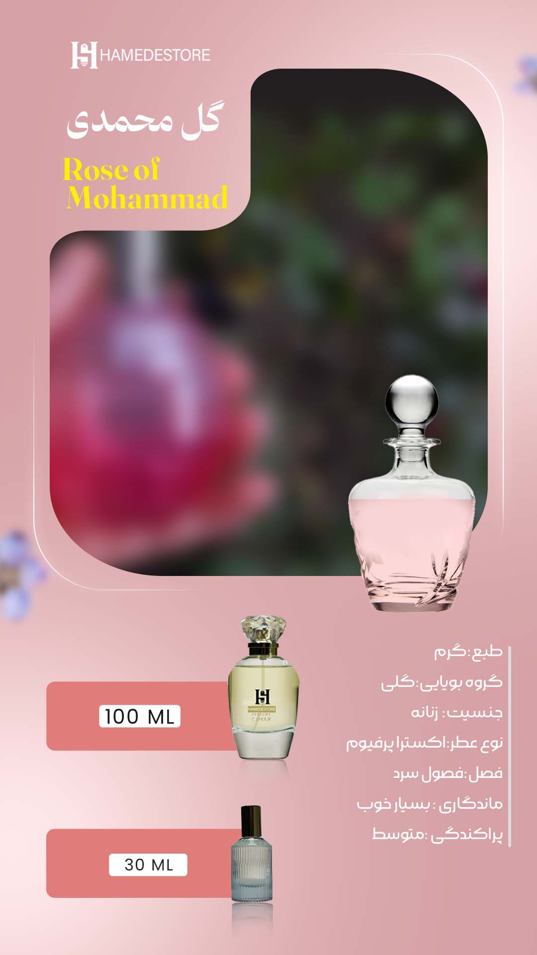 خرید عطر گل محمدی اصل - Image 2